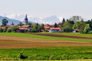Jaké jsou druhy pozemků a co ovlivňuje jejich cenu?